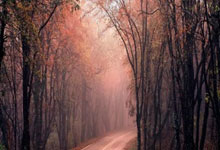 中国足球世界杯最好成绩是哪一年？