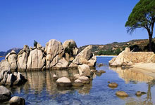 乌迪内斯足球俱乐部，意甲赛场的造星工厂与独特生存之道？